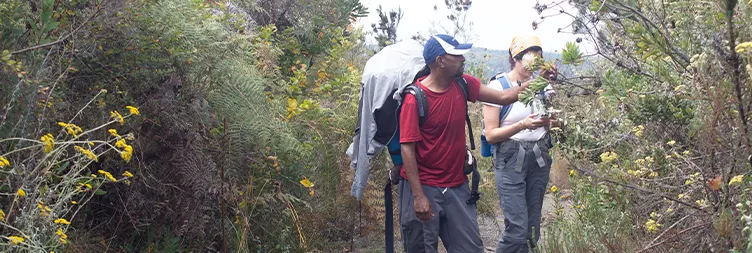 Climb from Rongai Gate - Simba Camp on The First Day of Kilimanjaro Climbing