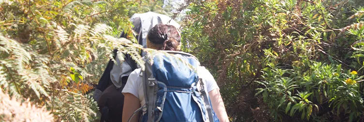 Simba Camp to Second Cave