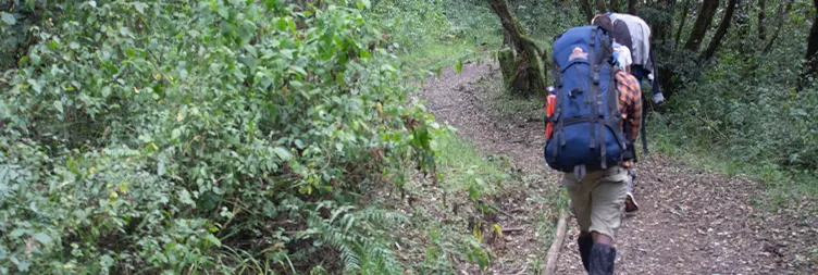 Mawenzi Tarn to Kibo Hut