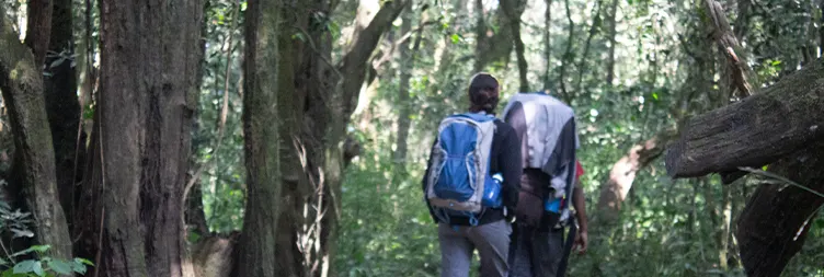 Starting Mt Kilimanjaro Climbing from Rongai Gate to Simba  Camp