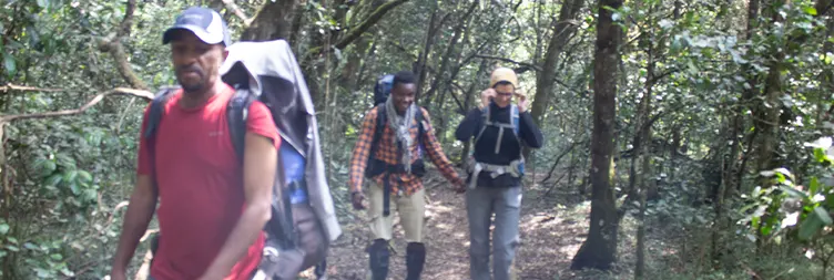 Moshi to Rongai gate to Simba camp