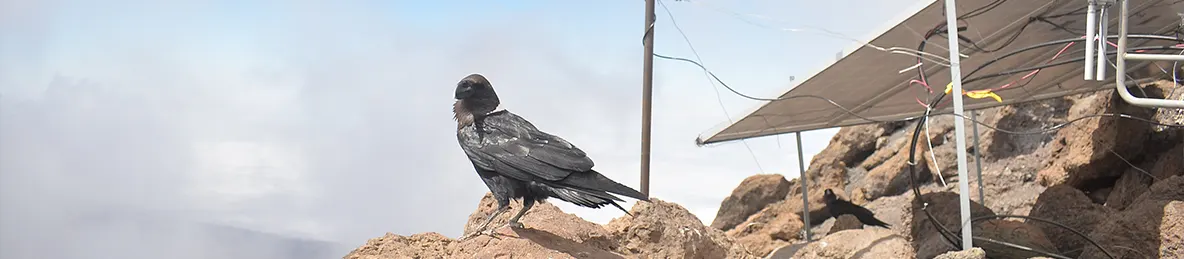 Kilimanjaro Rongai Route, Northern Circuit Route