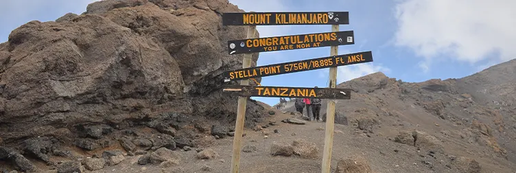 Crater Camp - Uhuru Peak - Mweka Camp  Summit and Descent