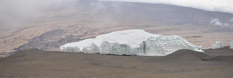 Mweka Camp to Mweka Gate Back to Moshi/Arusha