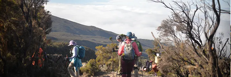 Summit day School Huts to Uhuru Peak, then Mweka Camp 