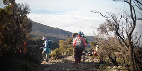 8 Days Kilimanjaro Trekking via Northern Circuit Route