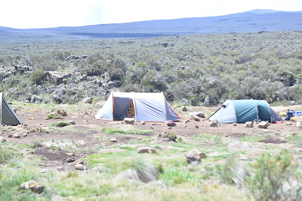 Second Cave Campsite kilimanjaro