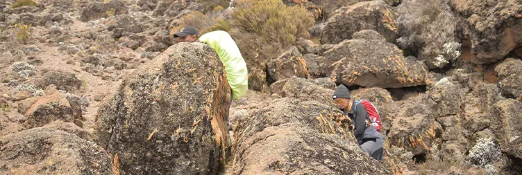  Horombo Hut to Mandara Hut  Gate - Back to Moshi/Arusha 