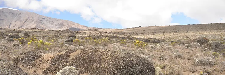 Second Caveâ€“ Third Cave 