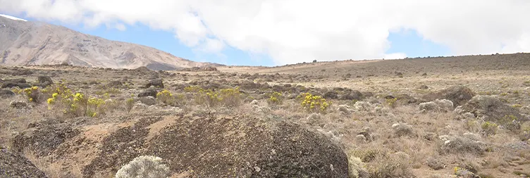 Second Caveâ€“ Kikelewa Cave 