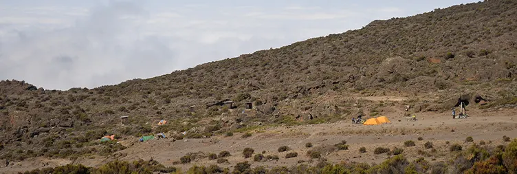 Horombo Hut - Mandara Hut - Marangu Gate - Back to Moshi/Arusha