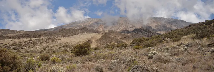 Horombo Hut to Mandara Hut to Marangu Gate to Back to Moshi/Arusha 