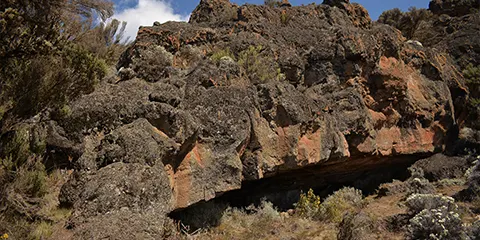 7 Days Discover the Wonders of Kilimanjaro Rongai Route Trekking