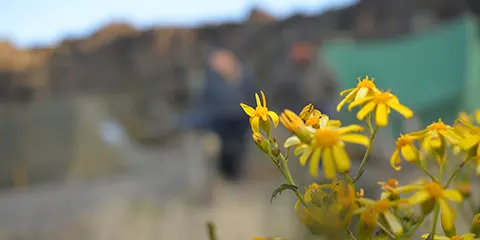 7 Days Heightened Horizons Rongai Route Kilimanjaro Hiking Escape