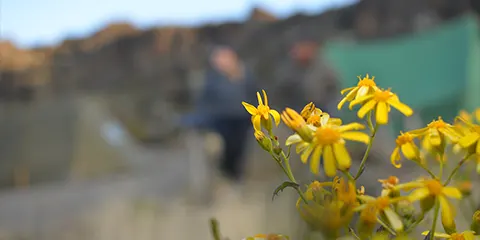 6 Days Kilimanjaro Trekking on Rongai Route