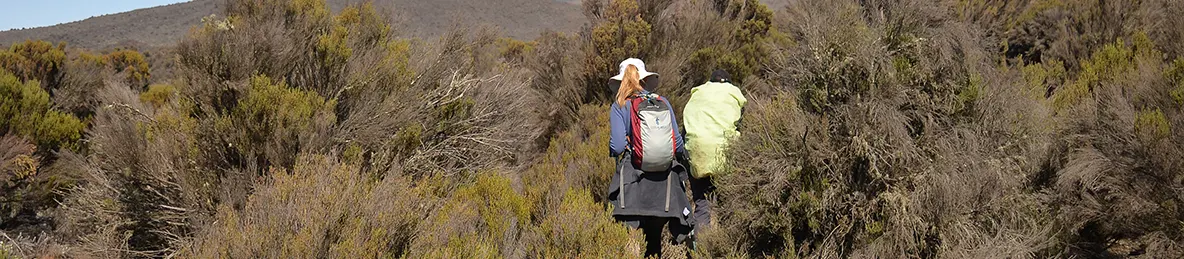 Kilimanjaro Rongai Route