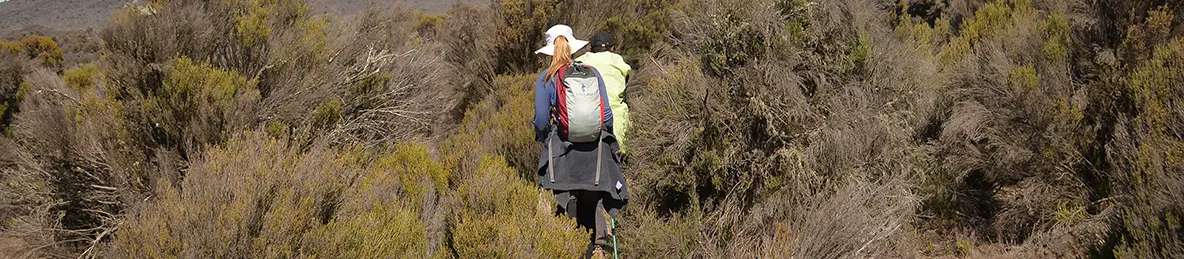 Kilimanjaro Rongai Route