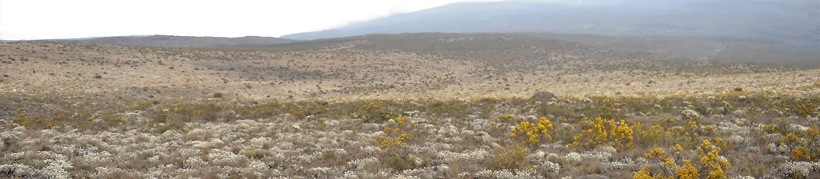 Kilimanjaro Rongai Route