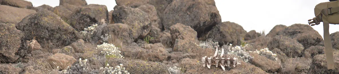 Kilimanjaro Rongai Route