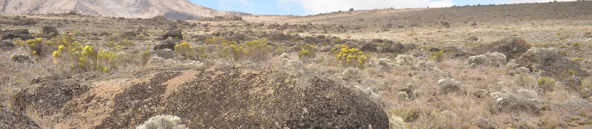 Kilimanjaro Rongai Route