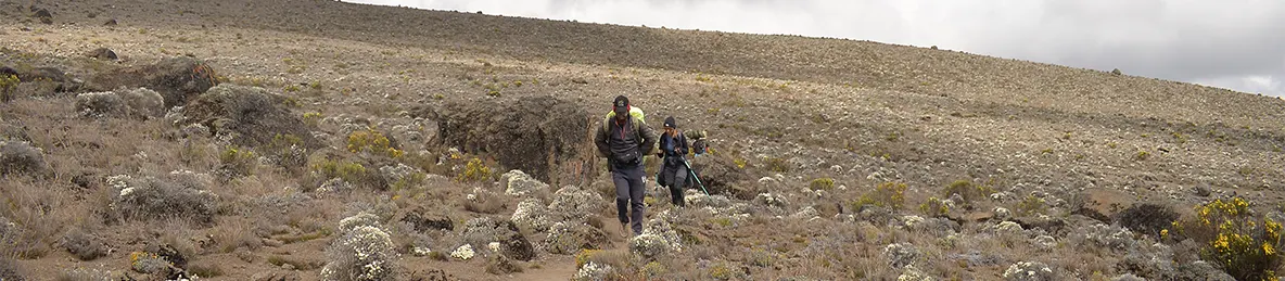 Kilimanjaro Rongai Route