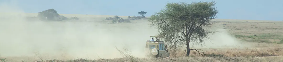 Serengeti National Park - Central