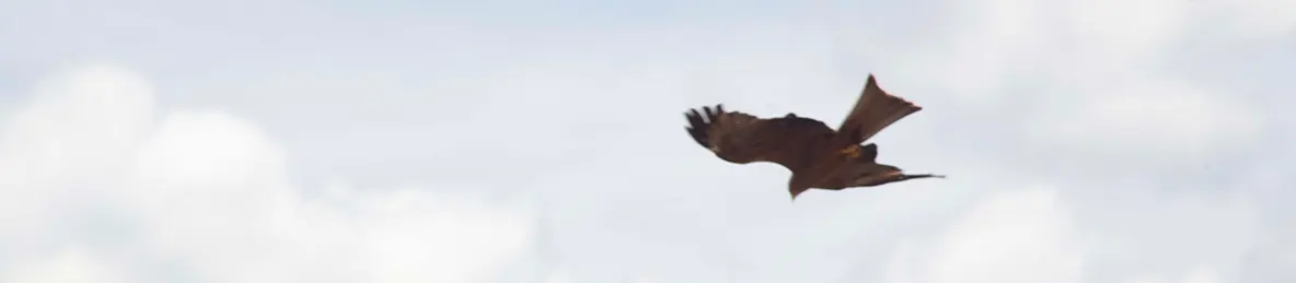 Serengeti National Park - Central