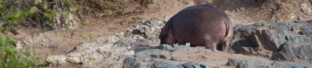Serengeti National Park - Central
