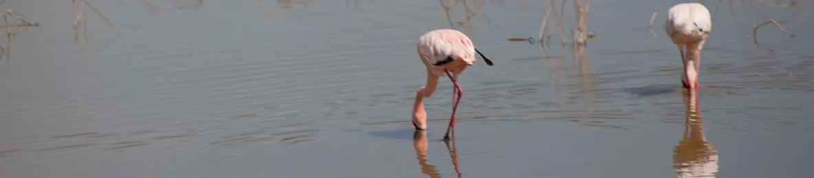 Serengeti National Park - Central