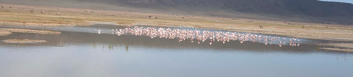 Serengeti National Park - Central