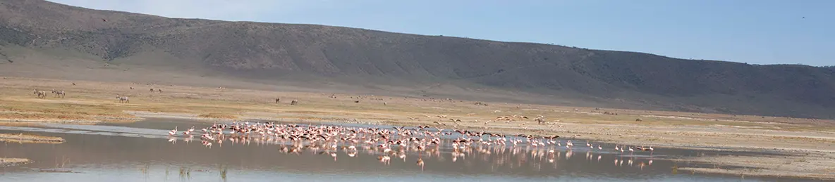 Serengeti National Park - Central