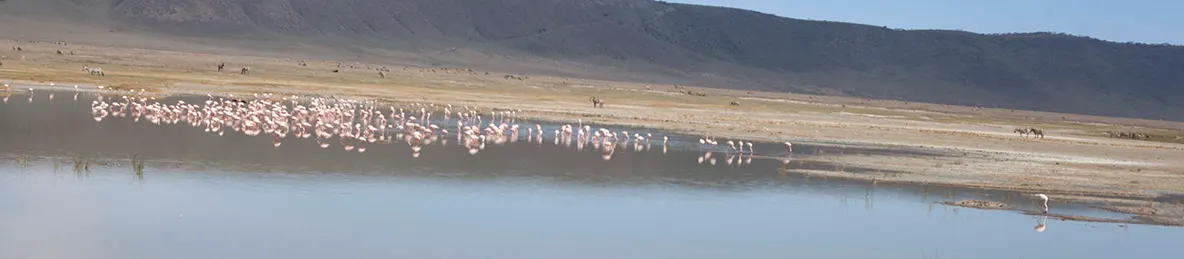 Serengeti National Park - Central