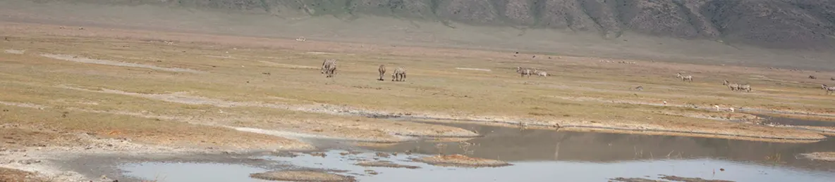 Serengeti National Park - Central