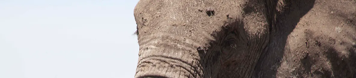 Serengeti National Park - Central