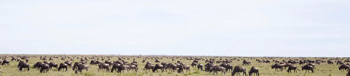 Serengeti National Park - Central