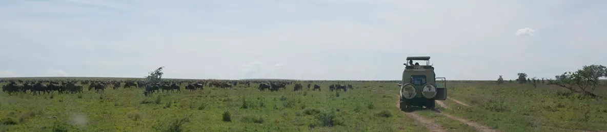 Serengeti National Park - Central