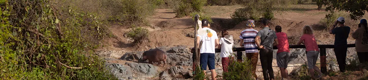 Serengeti National Park - Central