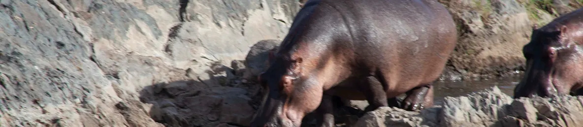 Serengeti National Park - Central