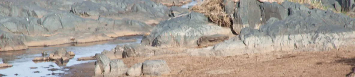 Serengeti National Park - Central