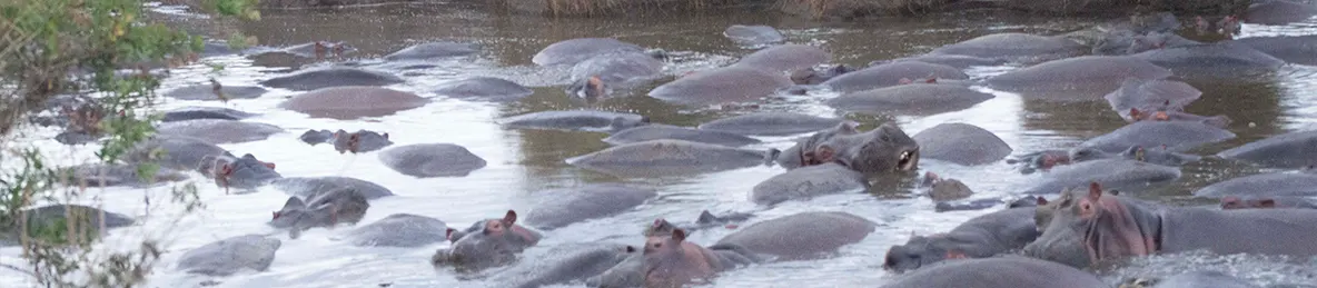 Serengeti National Park - Central