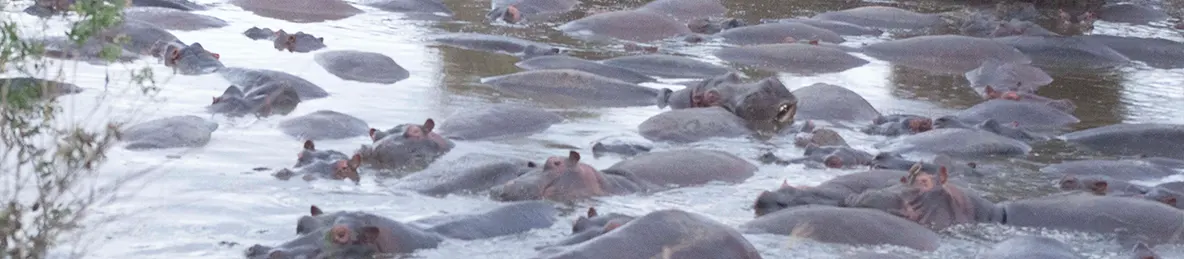 Serengeti National Park - Central