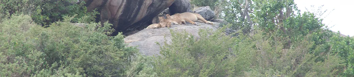Serengeti National Park - Central
