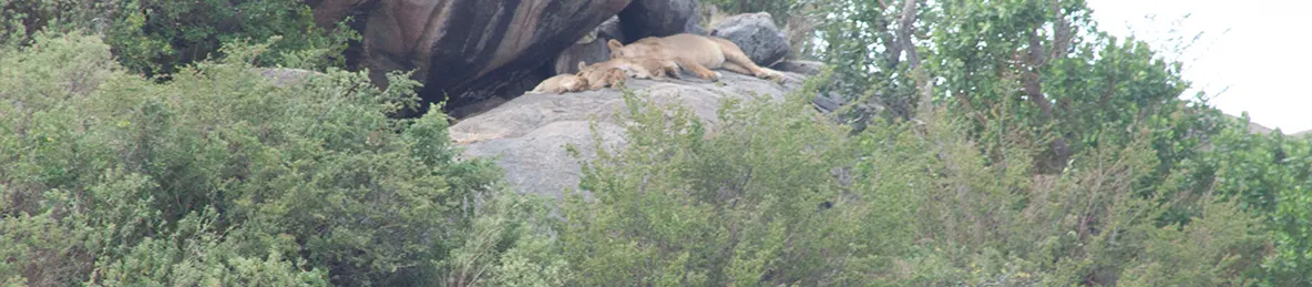 Serengeti National Park - Central