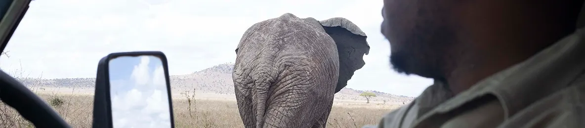 Serengeti National Park - Central