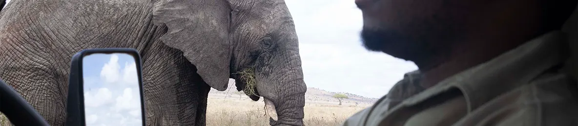 Serengeti National Park - Central
