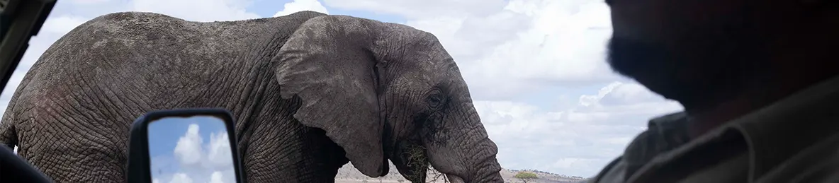 Serengeti National Park - Central