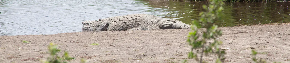 Serengeti National Park - Central