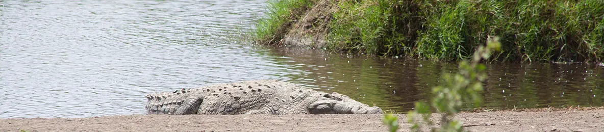 Serengeti National Park - Central