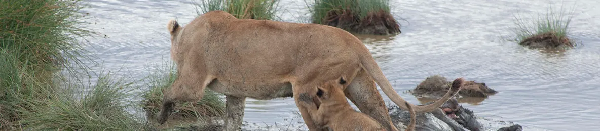 Serengeti National Park - Central