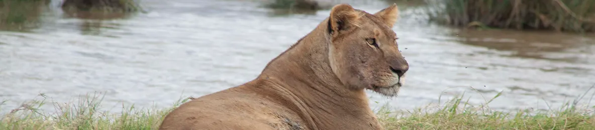 Serengeti National Park - Central